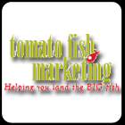 Tomato Fish Marketing